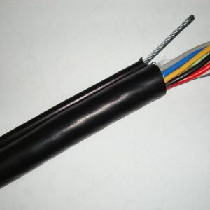 ɽ�|ʡ��(y��u)�|(zh��)늾���|���a(ch��n)�������(h��)��̩