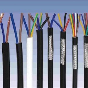 ������|����|���N��е�һ�N��ʲô�ǿ�����|��